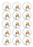 Duck 02 Edible Icing Cake Topper