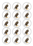 Eagle 02 Edible Icing Cake Topper or Ribbon