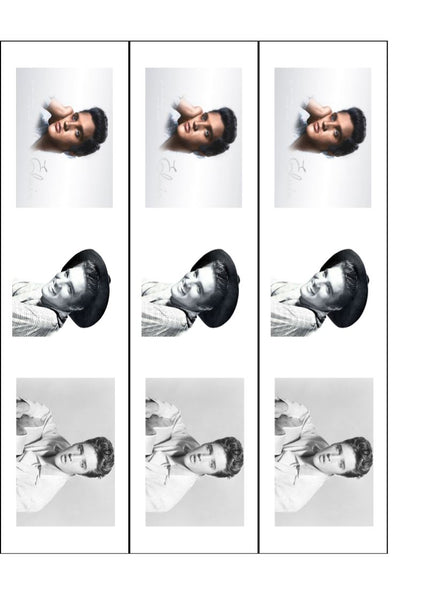Elvis Presley 01 Edible Icing Cake Topper or Ribbon – the caker online