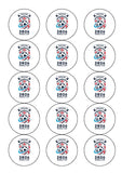 England Football 07 Edible Icing Cake Topper or Ribbon