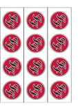 Foo Fighters 01 Edible Icing Cake Topper or Ribbon