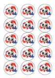 Football Theme Edible Icing Cake Topper or Ribbon 02