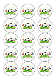 Football Theme Edible Icing Cake Topper or Ribbon 01