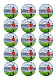 George Best Edible Icing Cake Topper or Ribbon