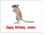 Gerbil / Mouse 02 Edible Icing Cake Topper