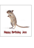 Gerbil / Mouse 02 Edible Icing Cake Topper