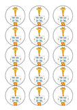 Good Luck 01 Edible Icing Cake Topper