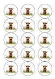 Highland Cow 01 Edible Icing Cake Topper