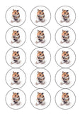Hamster 01 Edible Icing Cake Topper