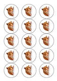 Hamster 03 Edible Icing Cake Topper