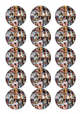 Harry Styles 09 Edible Icing Cake Topper