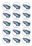 Humpback Whale 02 Edible Icing Cake Topper or Ribbon