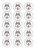 Husky Dog 05 Edible Icing Cake Topper or Ribbon
