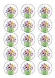 Iris / Irises Flowers Edible Icing Cake Topper