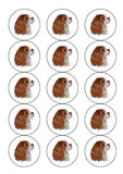 Cavalier King Charles 01 Edible Icing Cake Topper or Ribbon