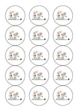 Lawn Bowls 01 Edible Icing Cake Topper
