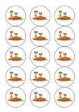 Meerkat 01 Edible Icing Cake Topper
