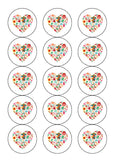 Mexico / Mexican Theme Edible Icing Cake Topper