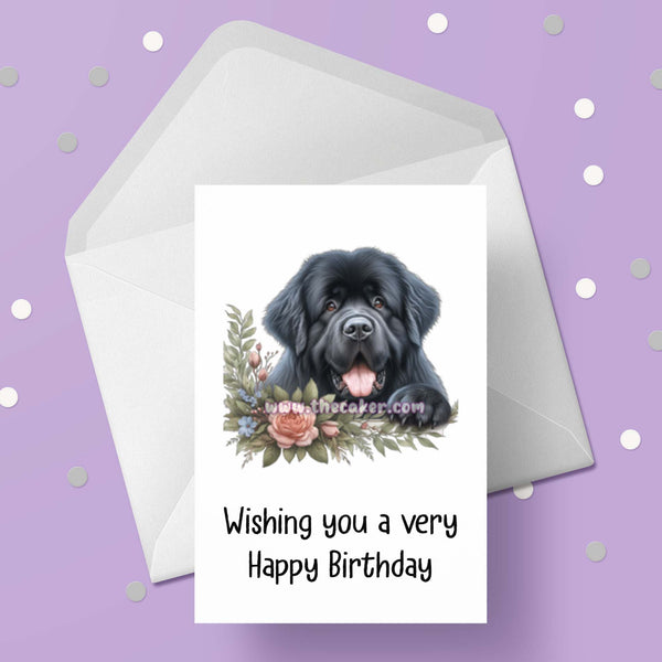 Newfoundland Dog Birthday Card 02