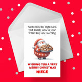 Christmas card for Niece - Funny Santa & Family