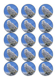 Owl 02 Edible Icing Cake Topper or Ribbon