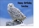 Owl 02 Edible Icing Cake Topper or Ribbon