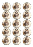 Owl 04 Edible Icing Cake Topper or Ribbon