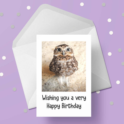 Owl 02 Birthday Card