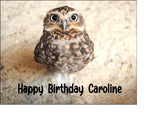 Owl 04 Edible Icing Cake Topper or Ribbon
