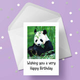 Panda Bear 02 Birthday Card