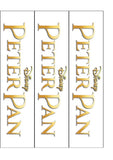 Peter Pan Edible Icing Cake Topper 01