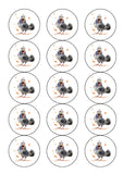 Pigeon 05 Edible Icing Cake Topper or Ribbon