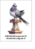 Pigeon 07 Edible Icing Cake Topper or Ribbon