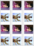 Prince 01 Edible Icing Cake Topper or Ribbon
