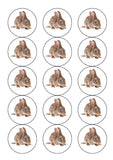 Rabbit 01 Edible Icing Cake Topper