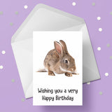 Rabbit 02 Edible Icing Cake Topper