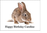 Rabbit 01 Edible Icing Cake Topper