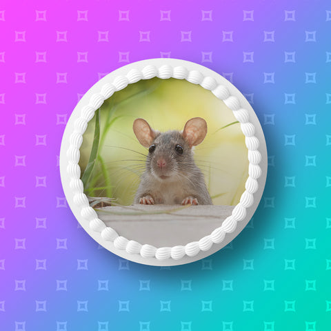 Rat 01 Edible Icing Cake Topper