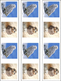 Owl 02 Edible Icing Cake Topper or Ribbon