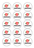 Rugby World Cup Edible Icing Cake Topper 02