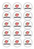 Rugby World Cup Edible Icing Cake Topper 02