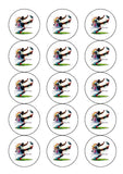 Rugby 08 Edible Icing Cake Topper or Ribbon
