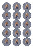 Sabrina Carpenter Edible Icing Cake Topper or Ribbon