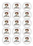 Sewing Edible Icing Cake Topper or Ribbon 02
