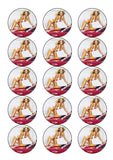 Sexy Girl at Car Wash Edible Icing Cake Topper or Ribbon