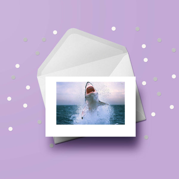 Shark 02 Birthday Card