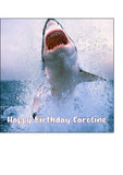 Shark 02 Edible Icing Cake Topper or Ribbon
