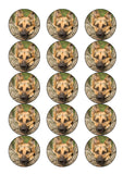 German Shepherd 01 Edible Icing Cake Topper