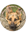 German Shepherd 01 Edible Icing Cake Topper