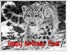 Snow Leopard 03 Edible Icing Cake Topper
